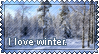 i love winter