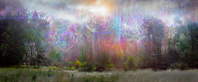 the oilslick-like shimmer in the air between the camera and a forest