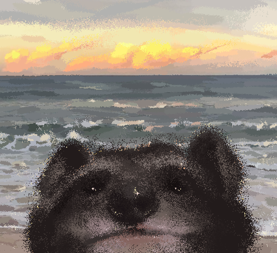 a raccoon photobombing a picture of an ocean landscape