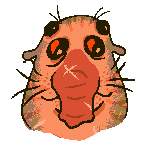 elephant seal like portrait